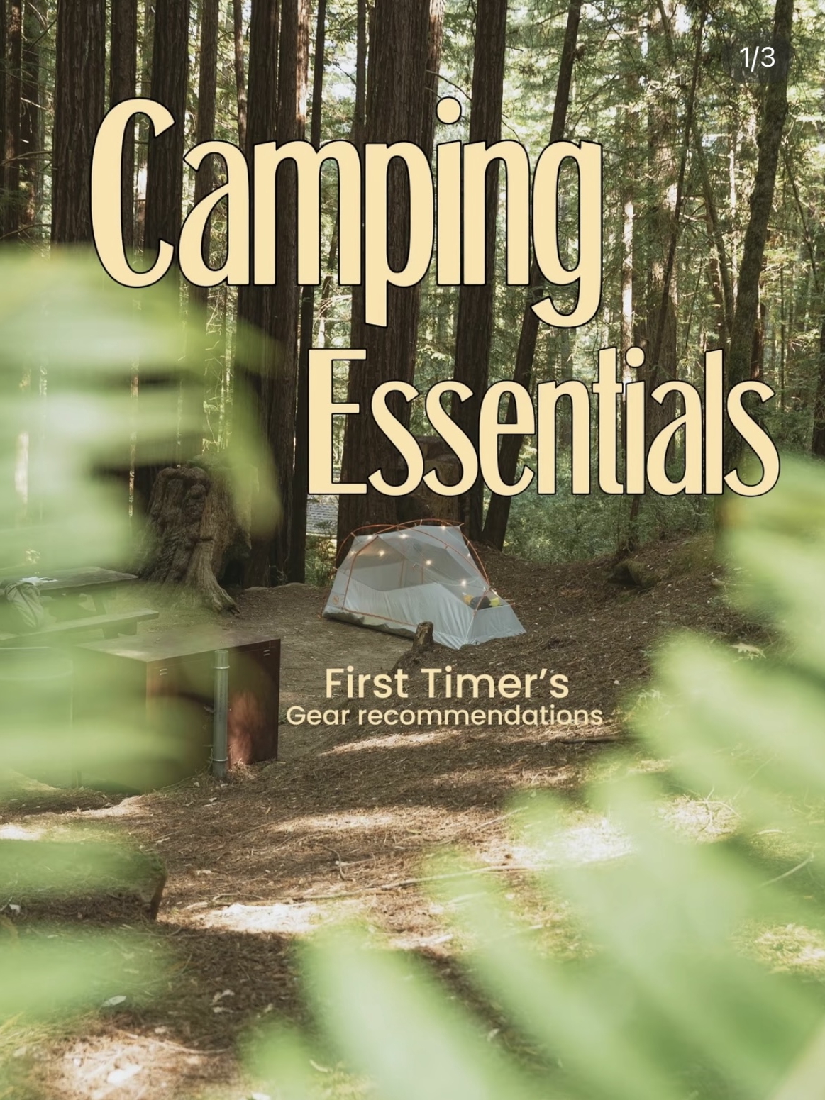 Camping Essentials - First Timer's Gear Recs