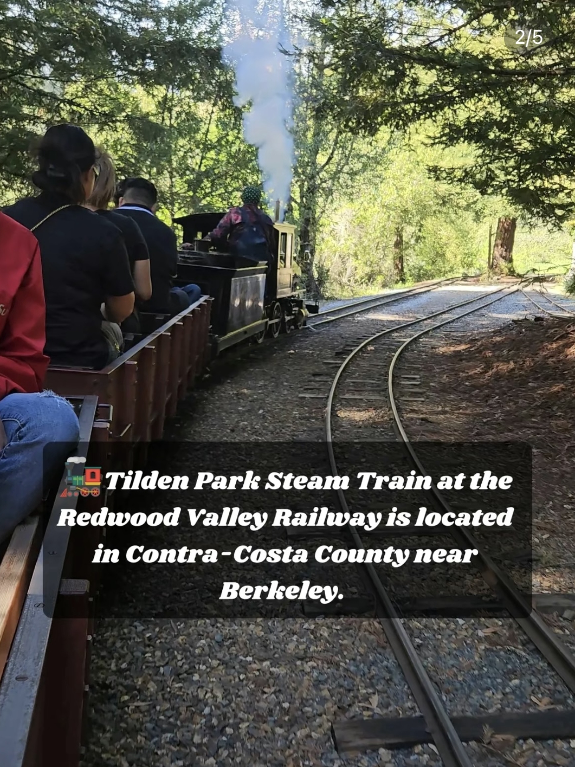STEAM TRAIN