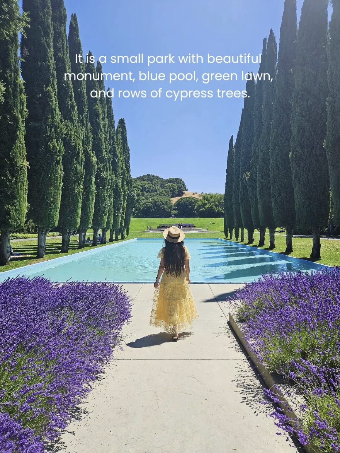 Hidden Gem in SF Bay Area