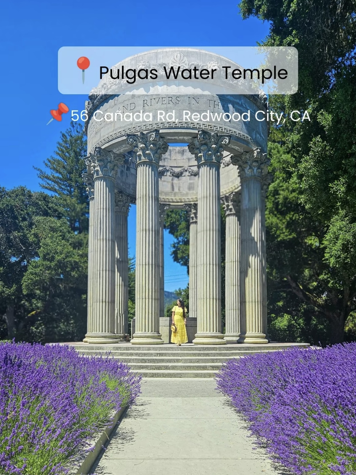 Hidden Gem in SF Bay Area
