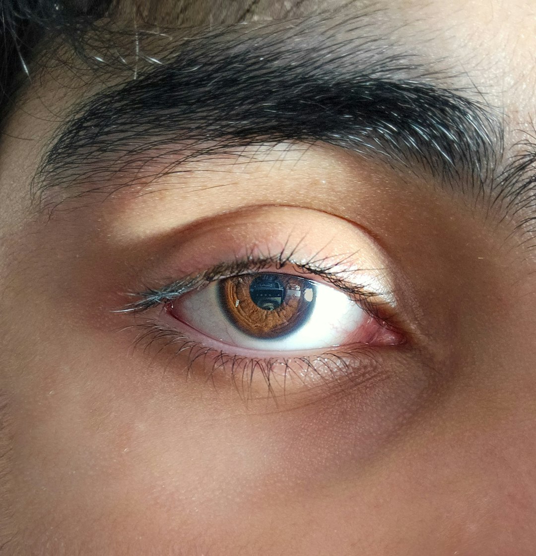 Your Eye Shape Is Built on Bone