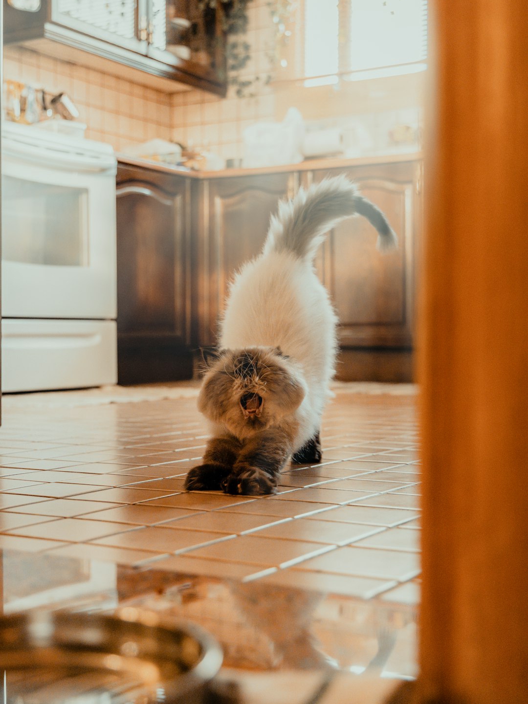 My Husband's Drunken Mistake Nearly Put Our Child in Danger! 😱🍪