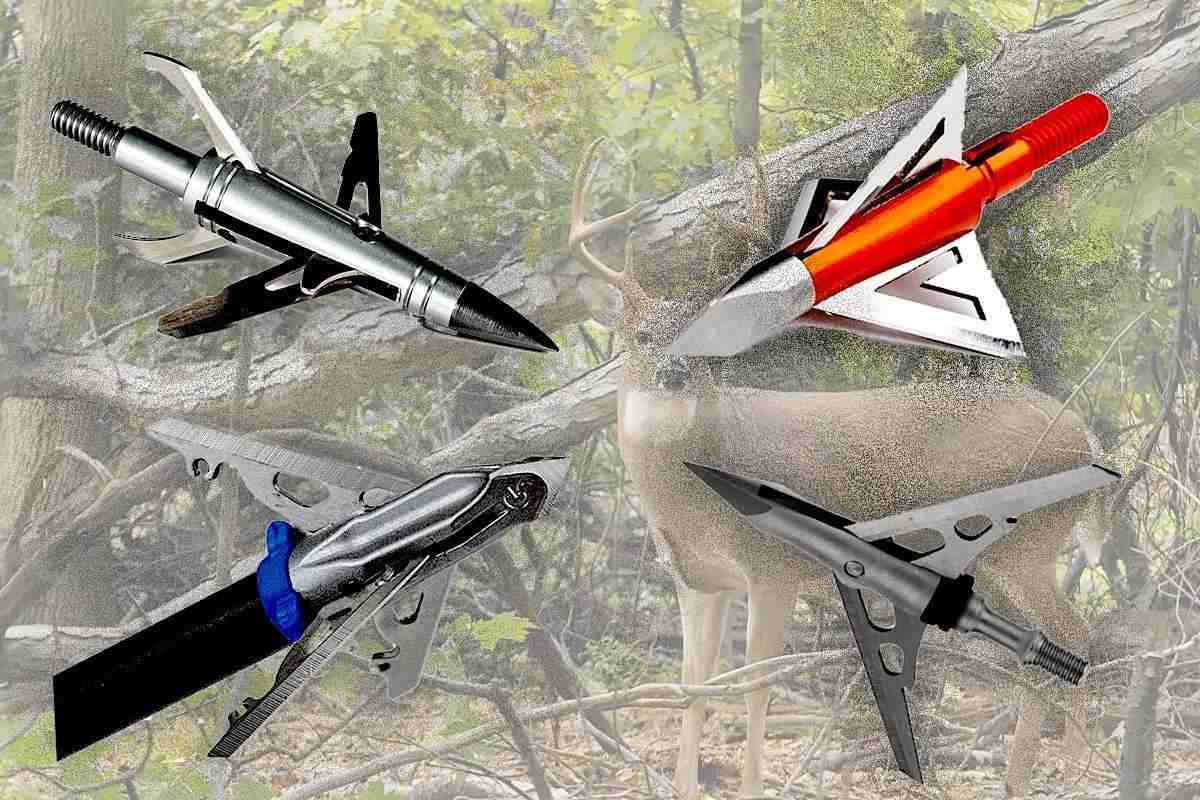 Dull Broadheads Cost You Deer. Here's Why.