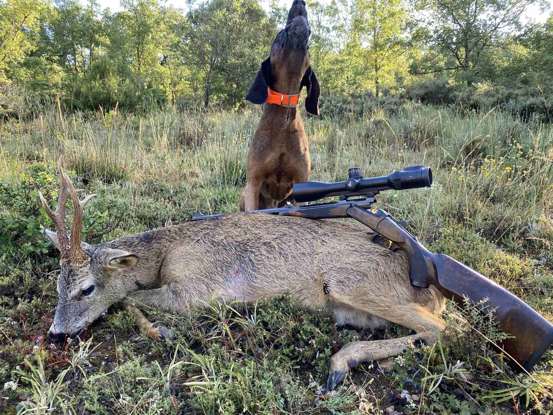 Anyone else avoid headshots when hunting?