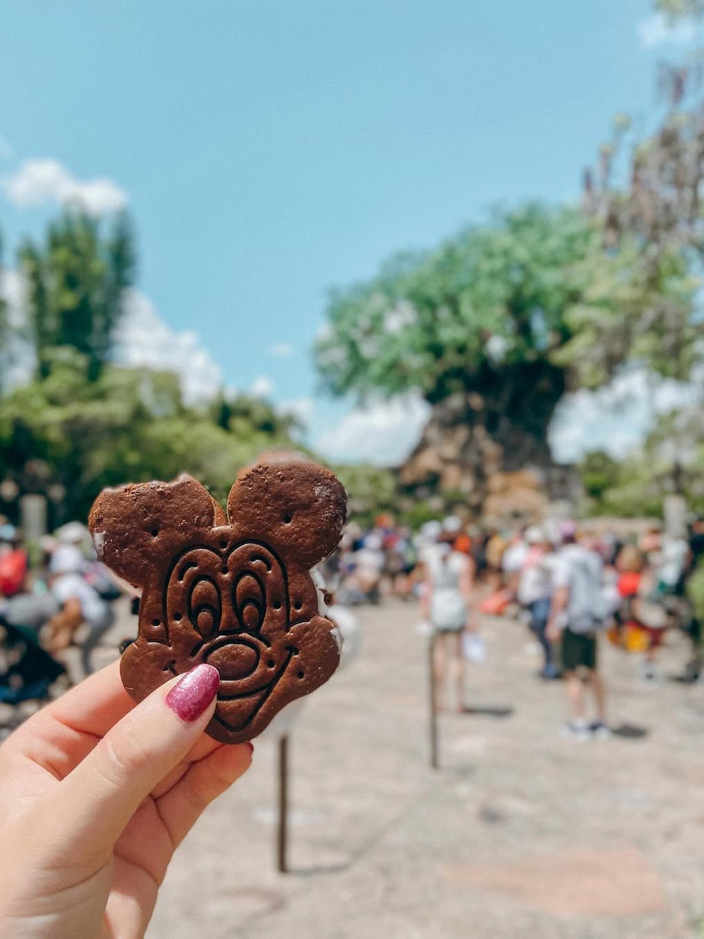 Is Disney World Getting a 5th Park?