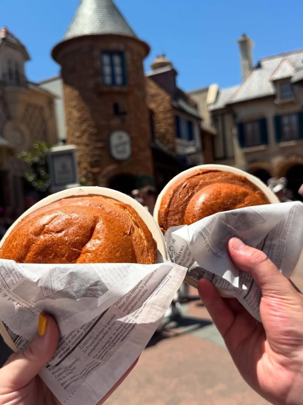 Is Disney World Getting a 5th Park?