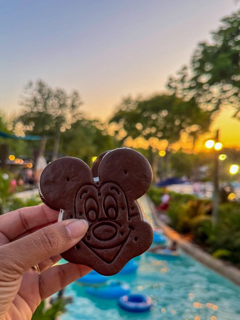 Is Disney World Getting a 5th Park?