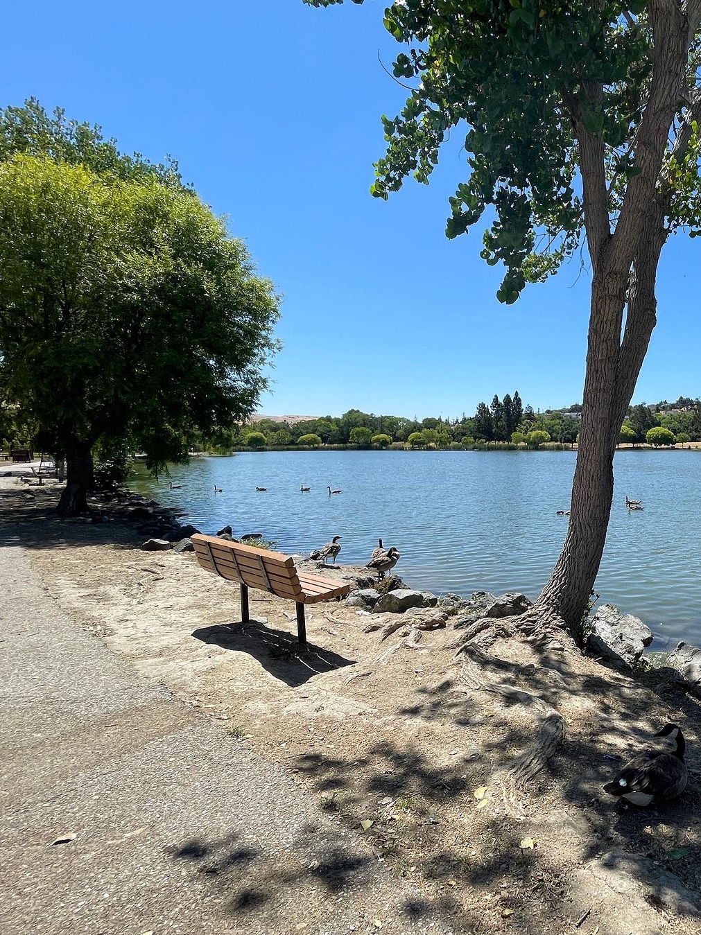 Hellyer County Park: Nature oasis in bustling San Jose city.