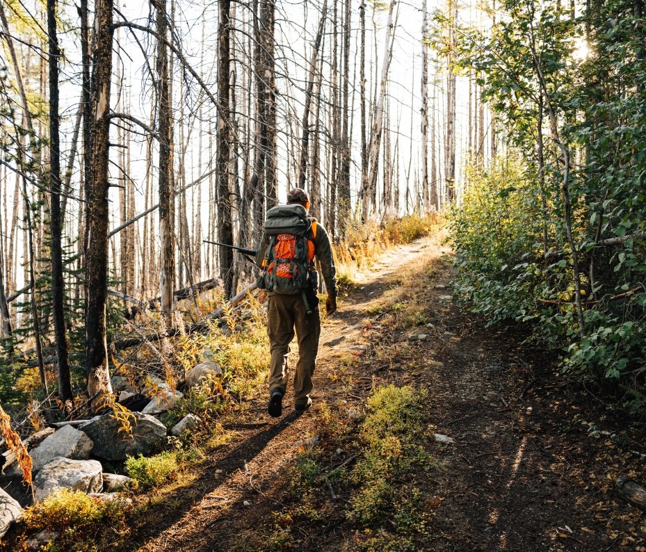 Is hunting helping or hurting wildlife?