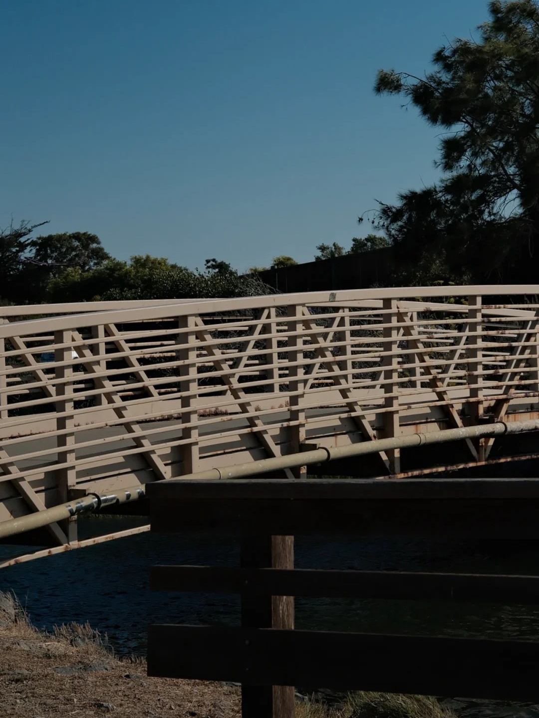 Discover Hidden Wetland Hiking Trails in the Bay Area 