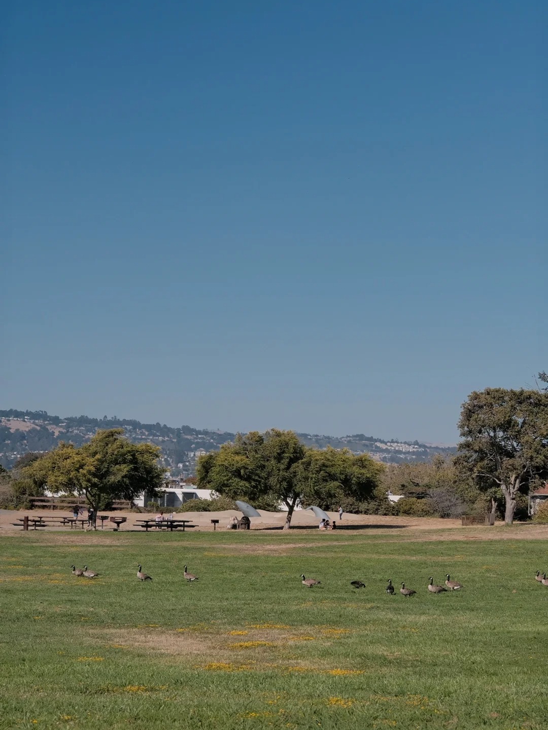 Discover Hidden Wetland Hiking Trails in the Bay Area 