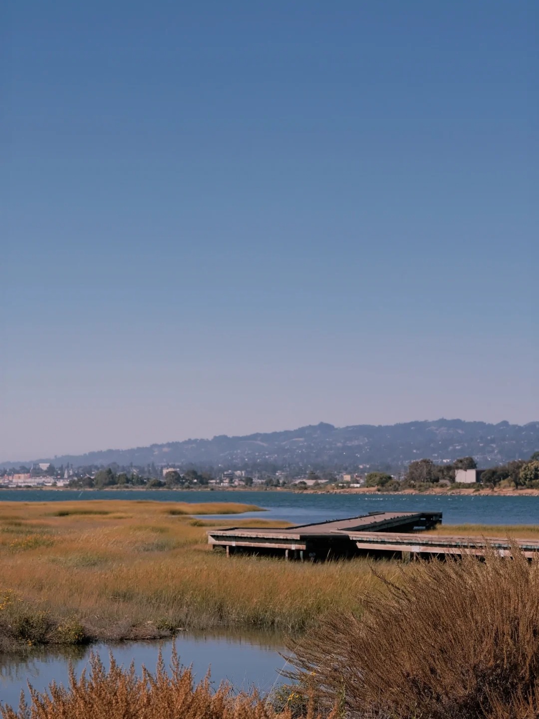 Discover Hidden Wetland Hiking Trails in the Bay Area 