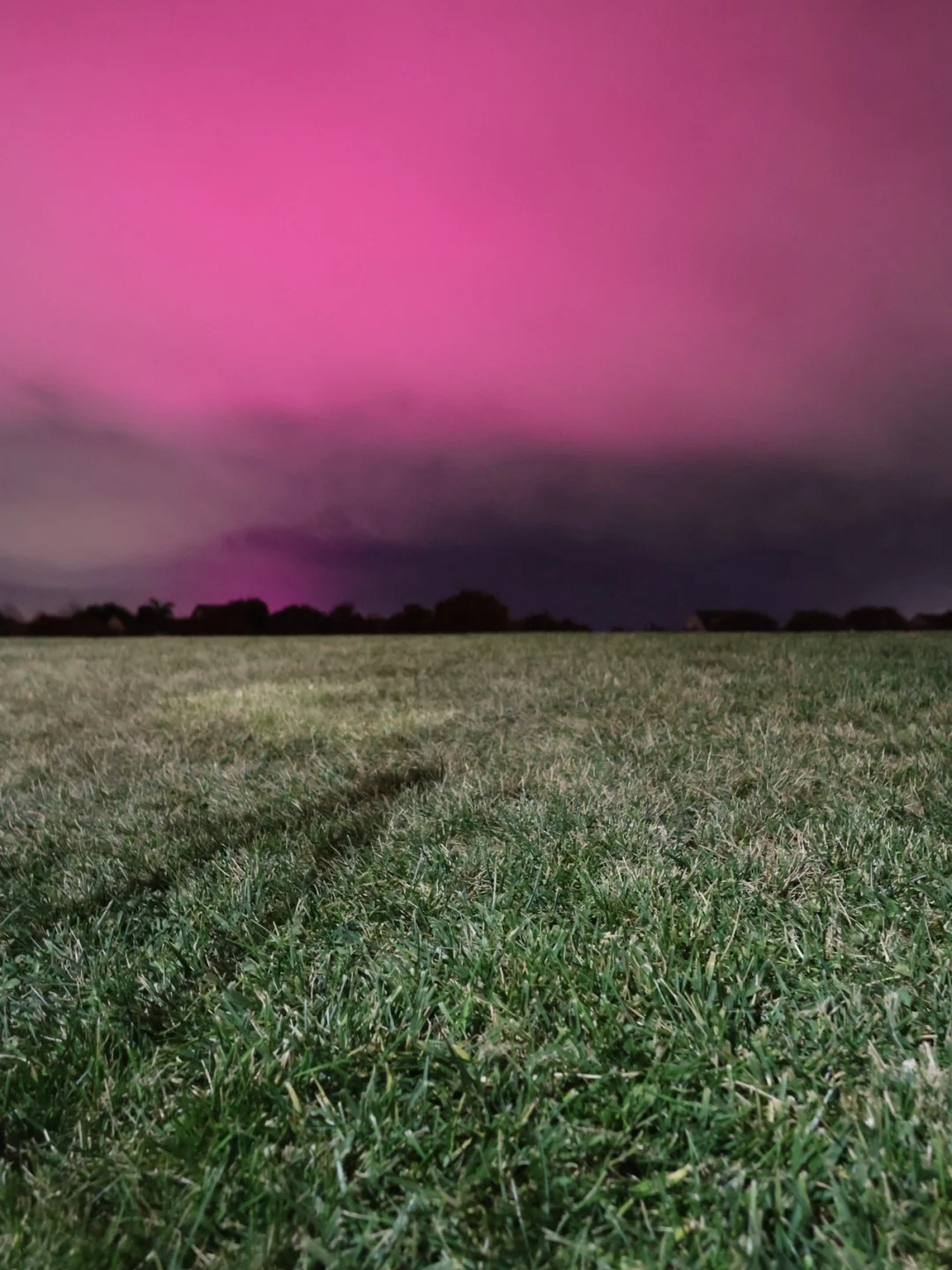 Last night, I had a magical moment where I thought I was witnessing the Northern Lights.