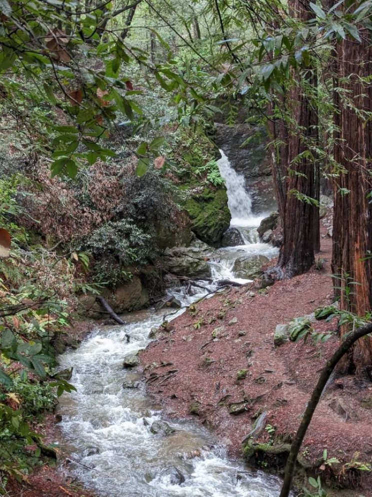 Magnificent Waterfall Hikes To Explore In The Bay Area