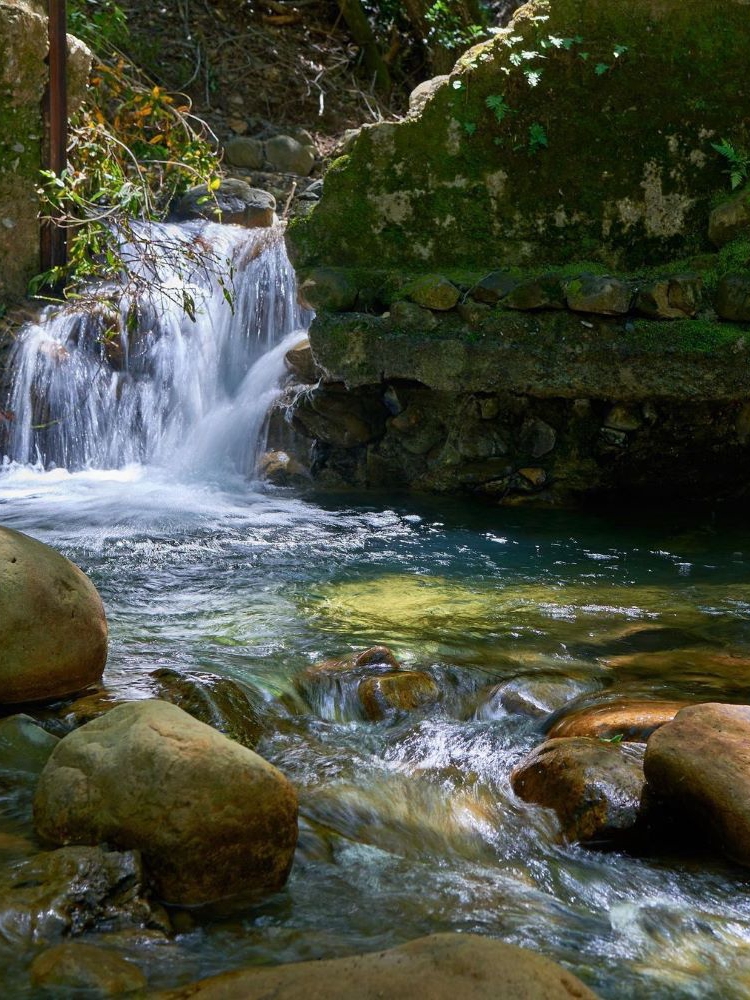 Magnificent Waterfall Hikes To Explore In The Bay Area