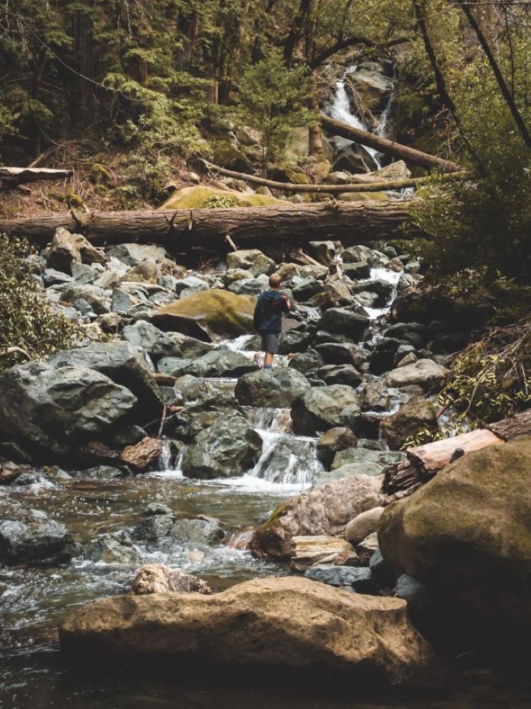 Magnificent Waterfall Hikes To Explore In The Bay Area