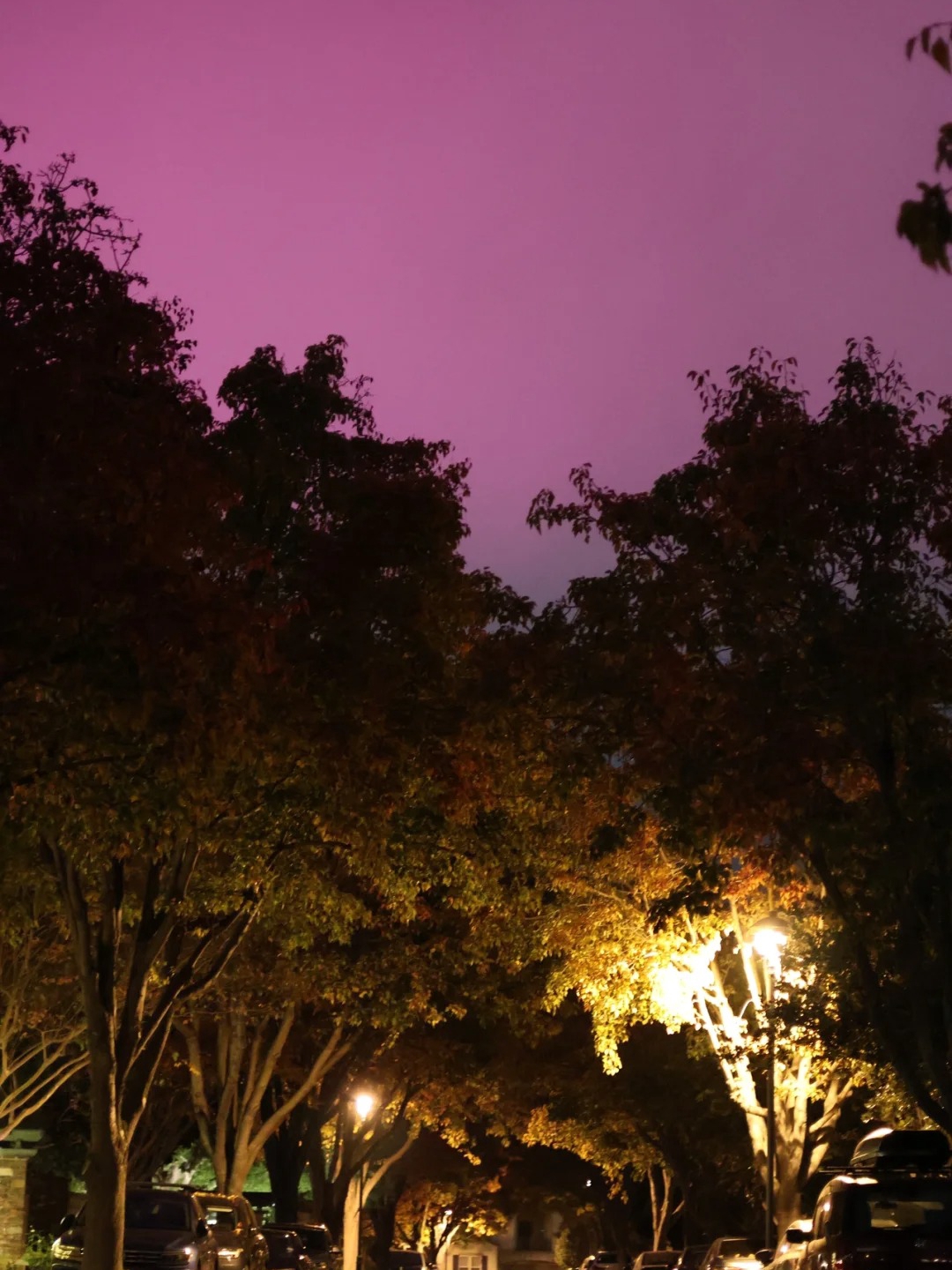 Last night, I had a magical moment where I thought I was witnessing the Northern Lights.