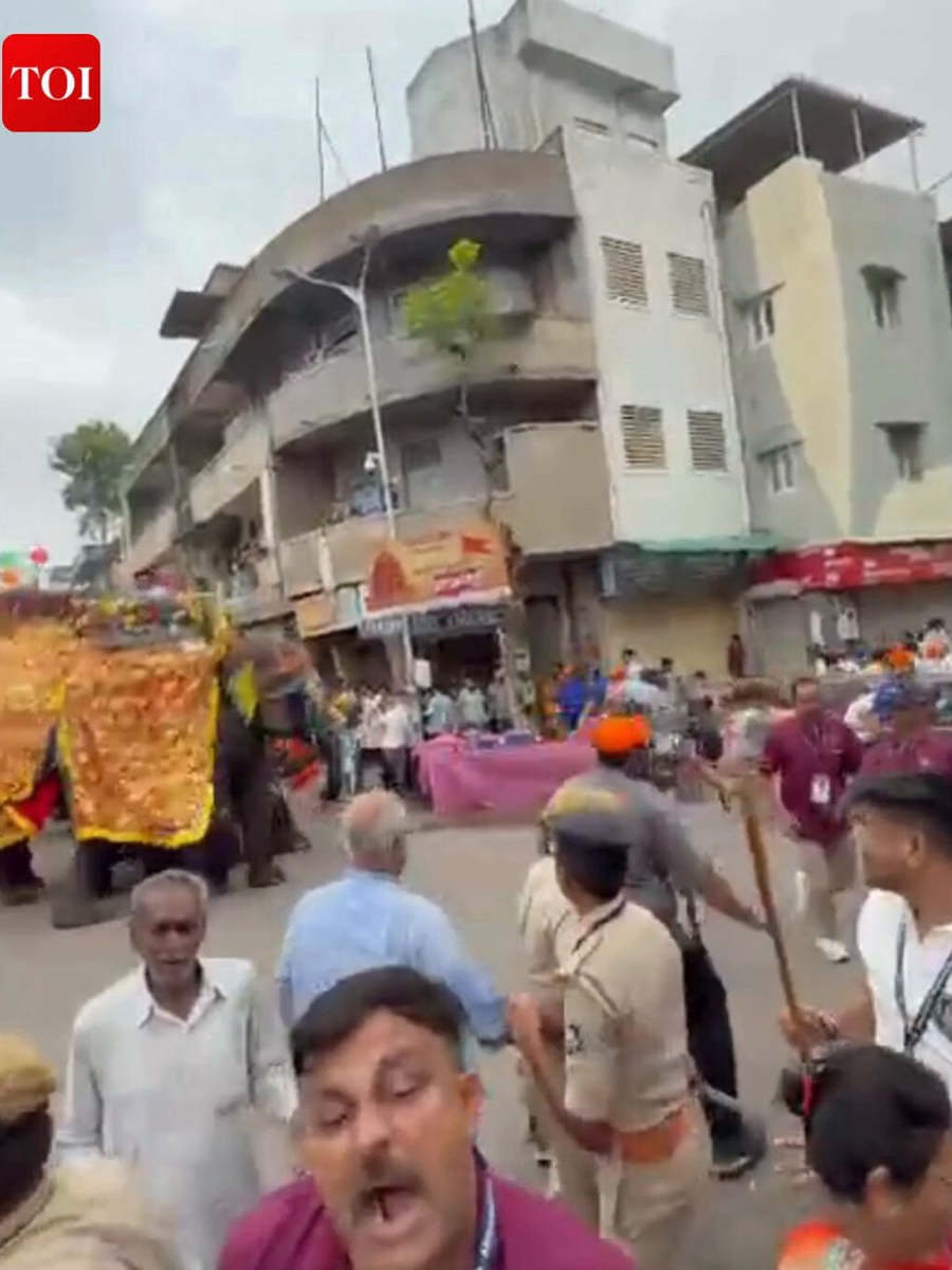 Elephant Goes Wild at Festival!