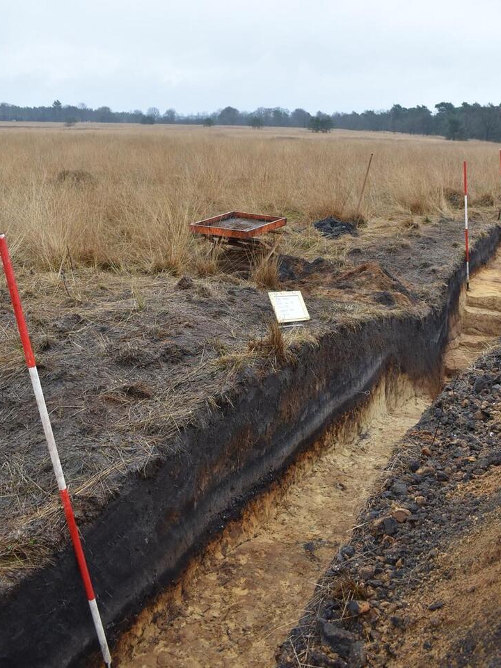 Roman Camp Found Where It Shouldn’t Be?!