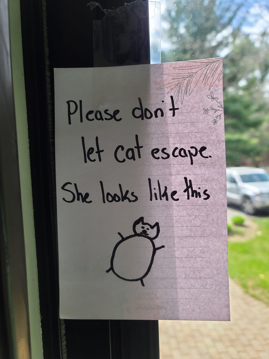 Pets Gone Wild: This Week’s Funniest Moments