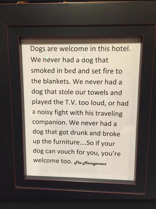 Pets Gone Wild: This Week’s Funniest Moments
