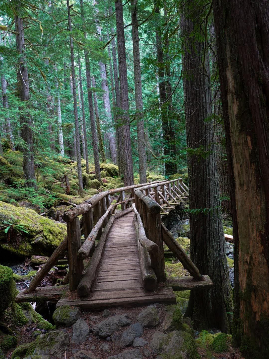 The Trail Was Quiet. My Mind Wasn’t.