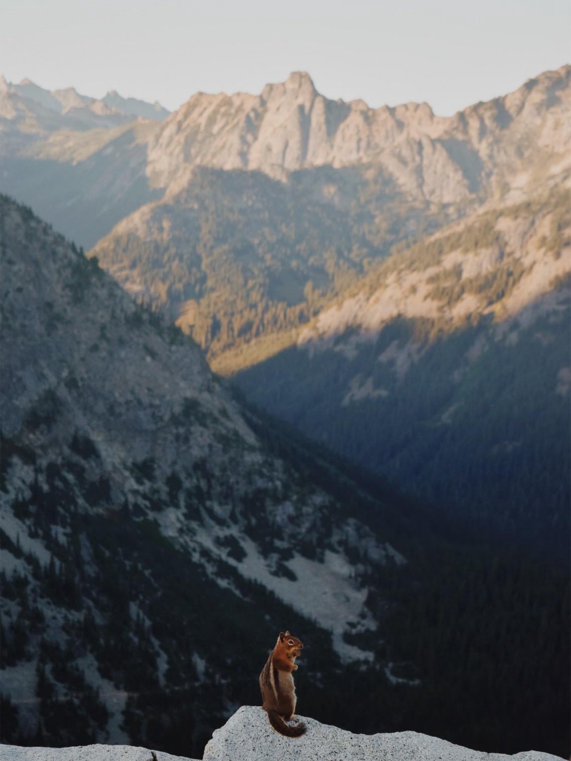 North Cascades: Beauty Doesn’t Fix Exhaustion