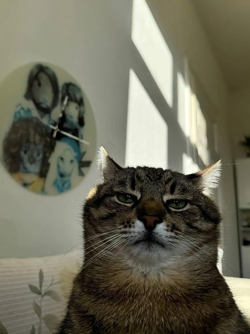 My cat's been taking parent selfies for years