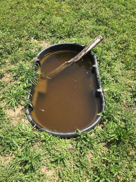 When’s the best time to dig a deer waterhole? 💦🦌