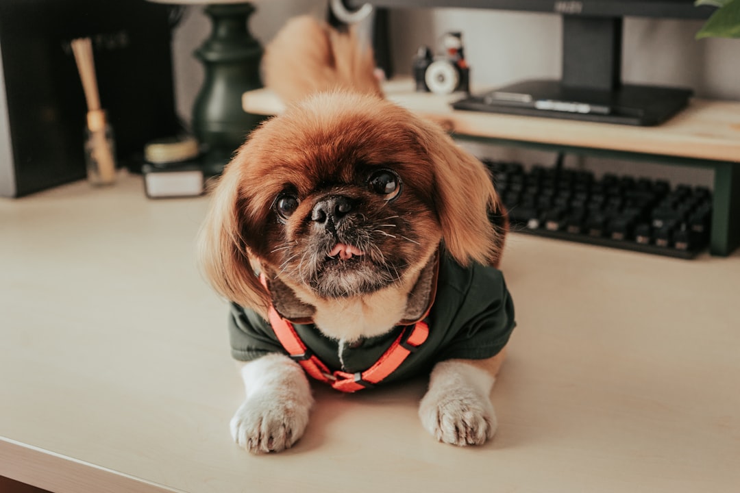 Crossing $1 Million: My Portfolio Anxiety and Office Drama! 😰💼