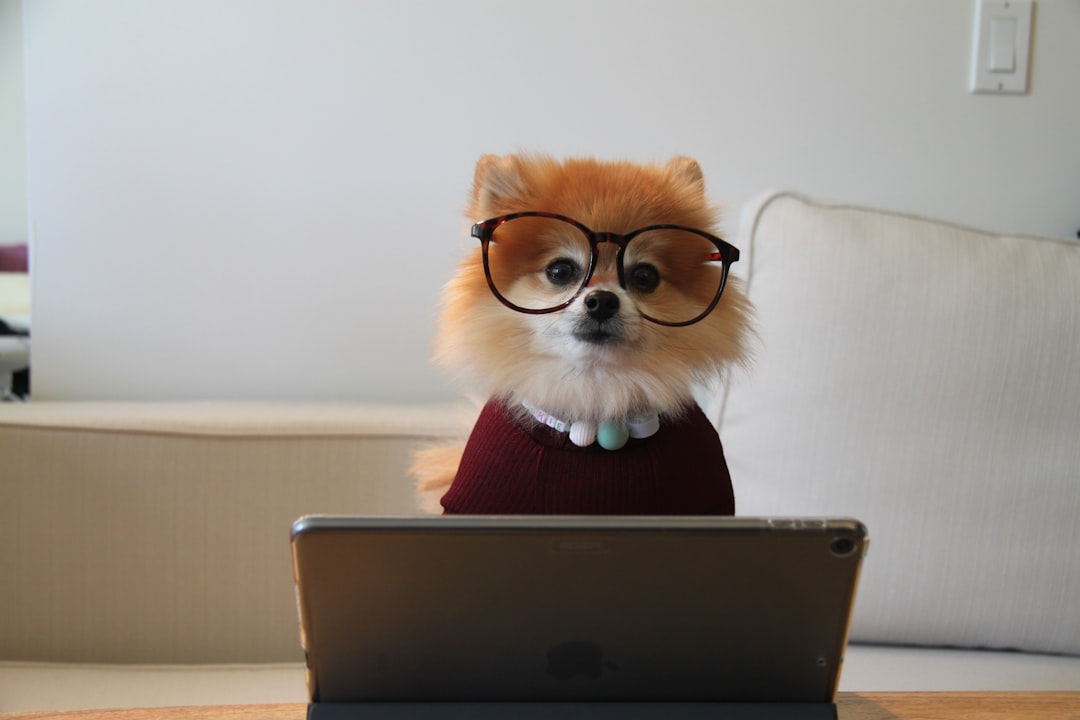 Hit $1M at 38 but facing major workplace drama - need advice! 😰