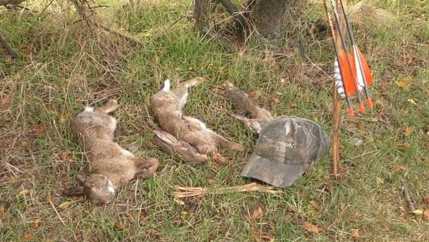 Off-season rabbit hunting keeps me sharp 🐰