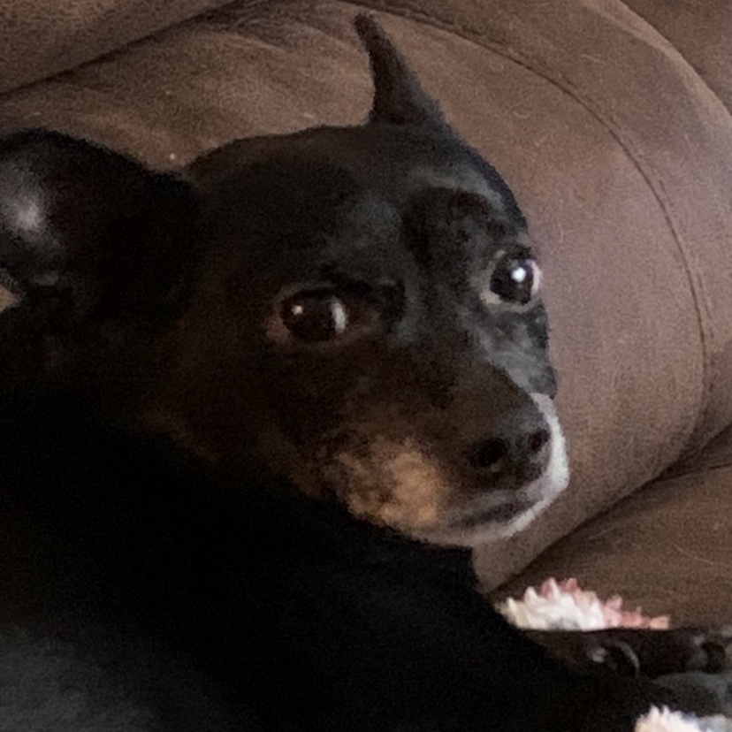 Meribeth Karyl Beaver