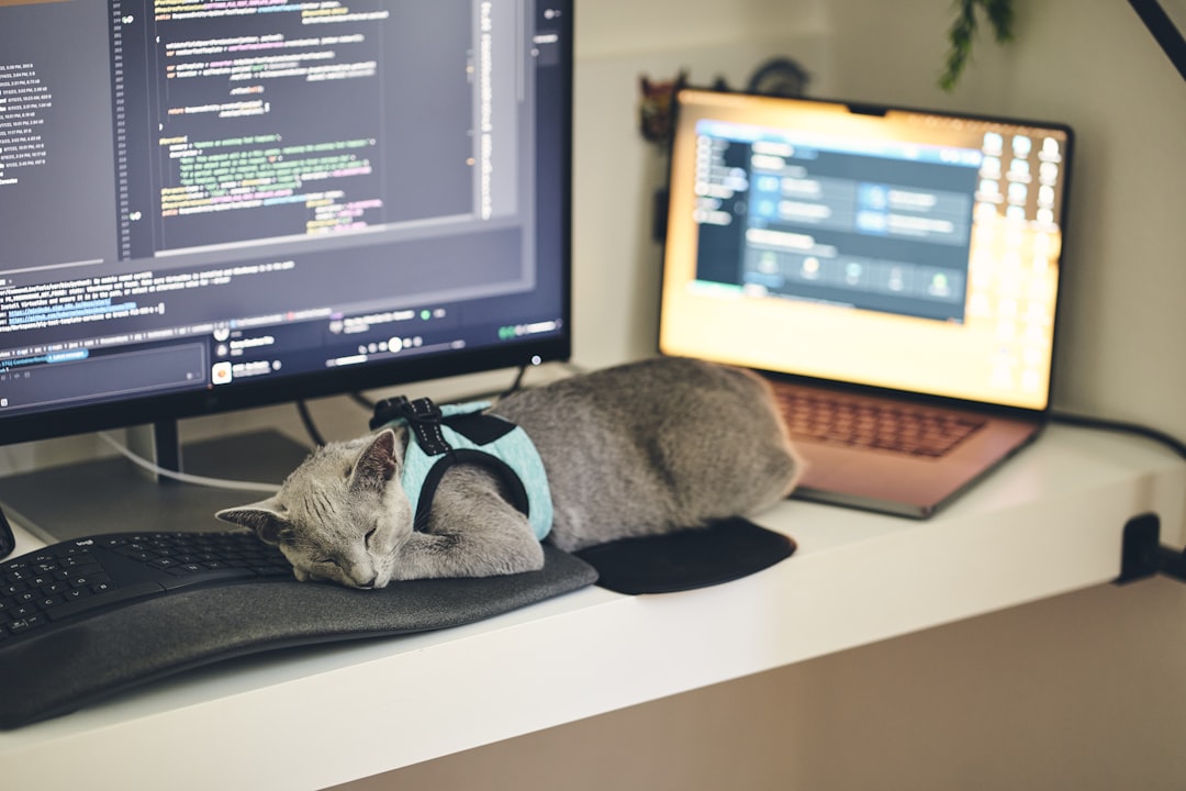 Frugal Software Engineer Can't Find a FIRE-Minded Partner! 😩💸