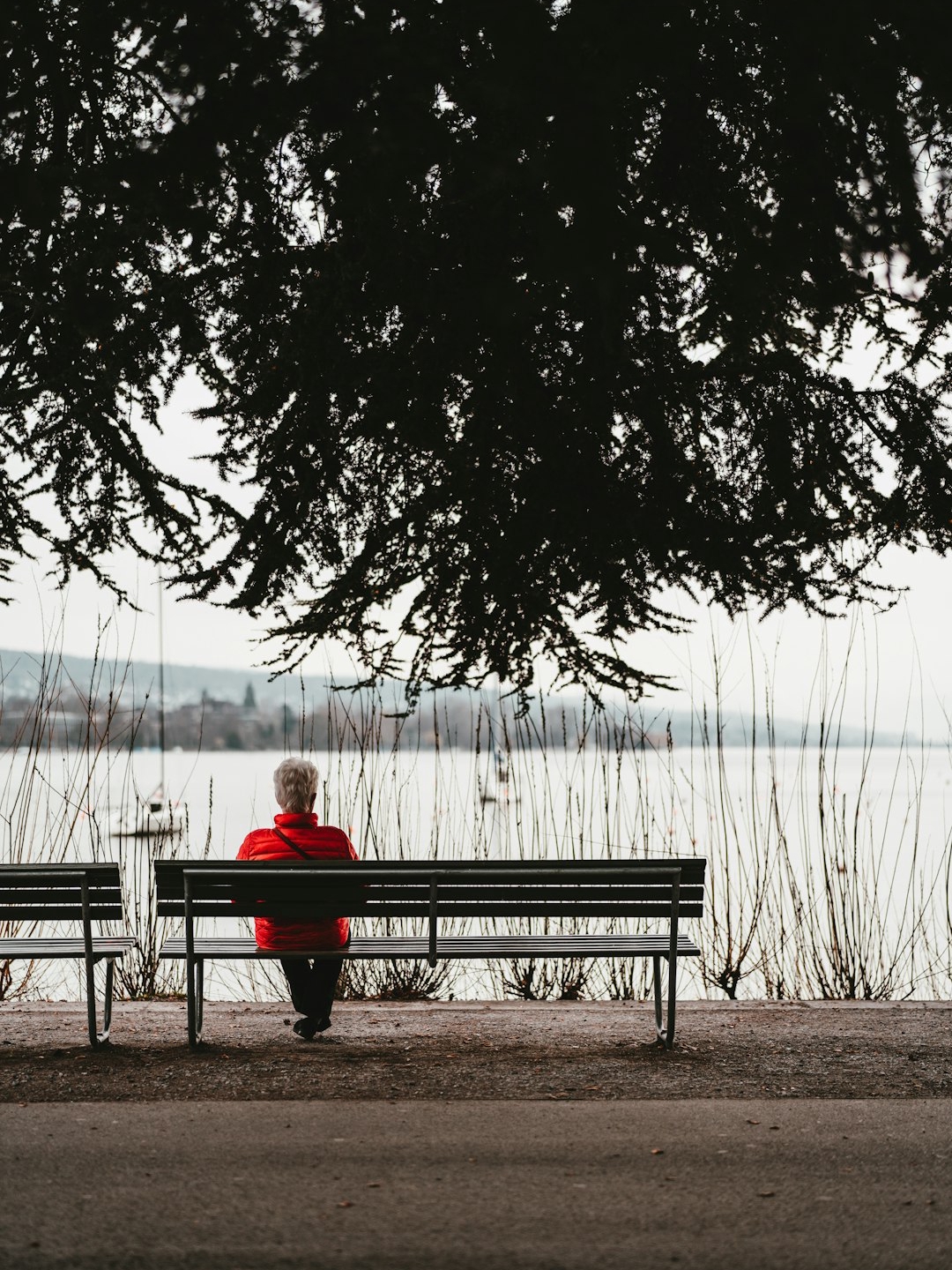Torn Between Career Growth and Early Retirement—Help Needed! 😫💼