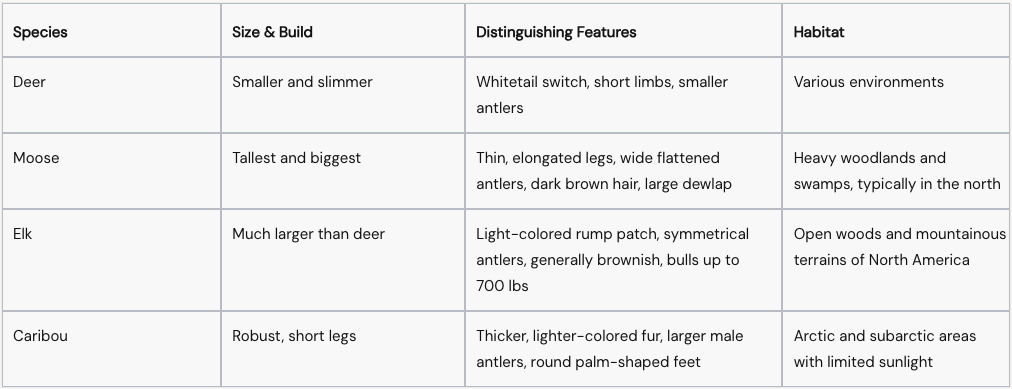 Mastered ID'ing All 4 Deer Species Finally!