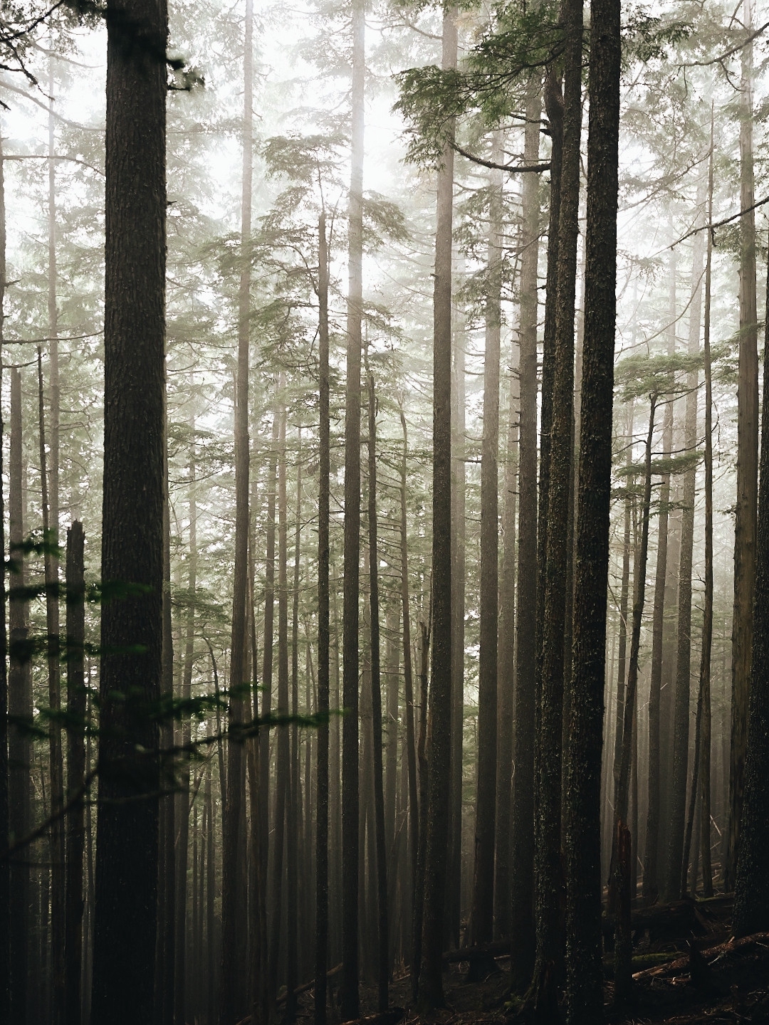 The Hike Didn’t Clear My Head