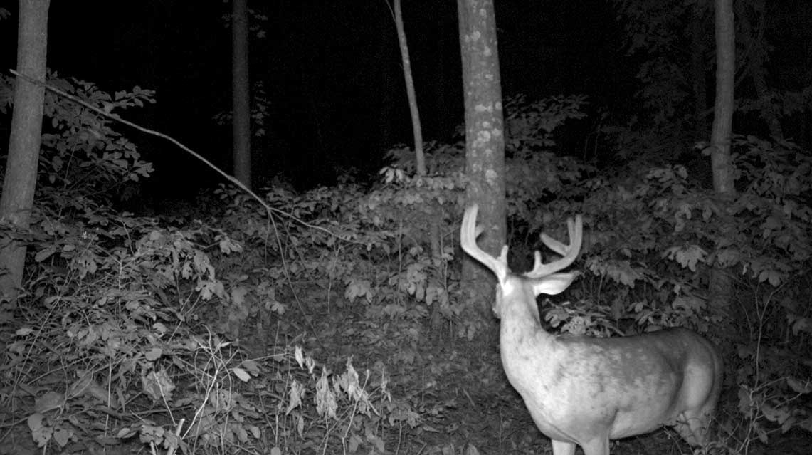 What I Do AFTER Setting Up My Trail Cam