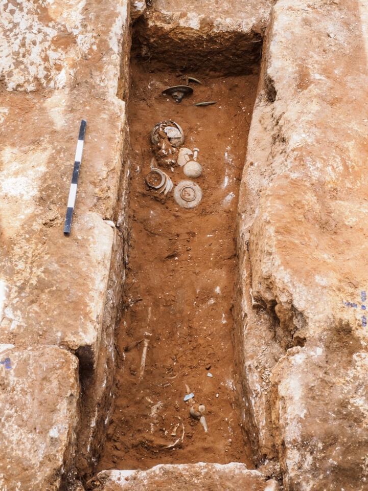 Lion-Headed Mystery in Ancient Grave