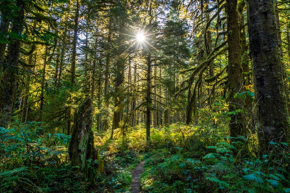 Nature calls - but where?! Help me find a better solution than 'find a bush' or adult diapers！