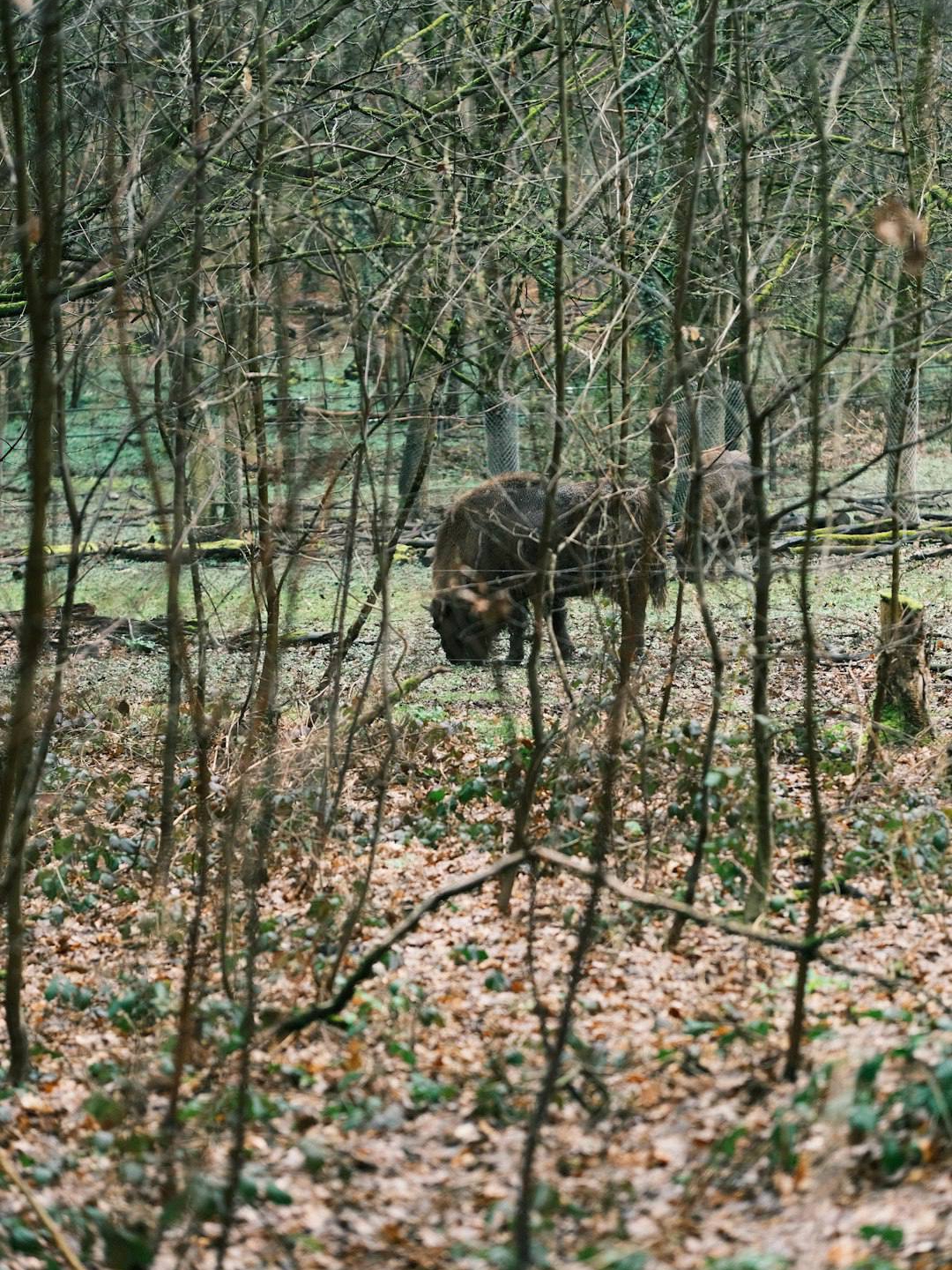 Which state has the best public hunting?