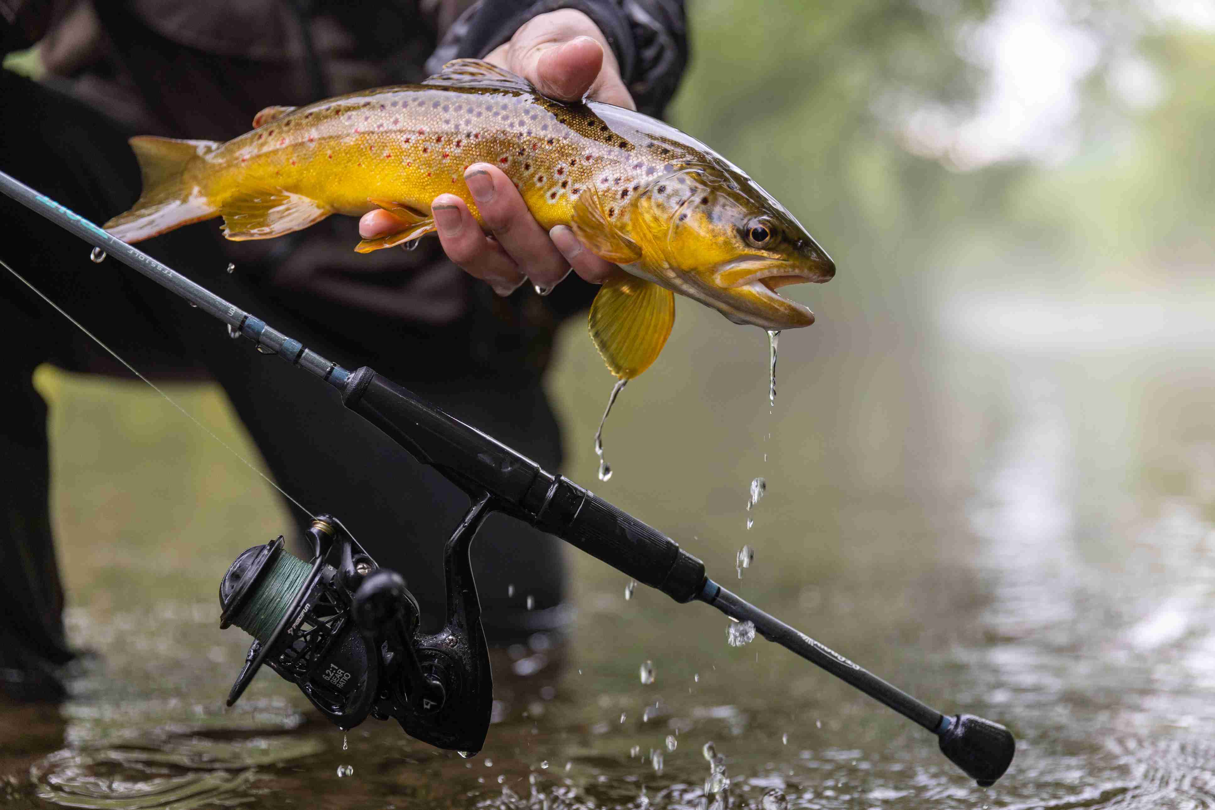 🎣 Stop Buying the Wrong Fishing Rods!