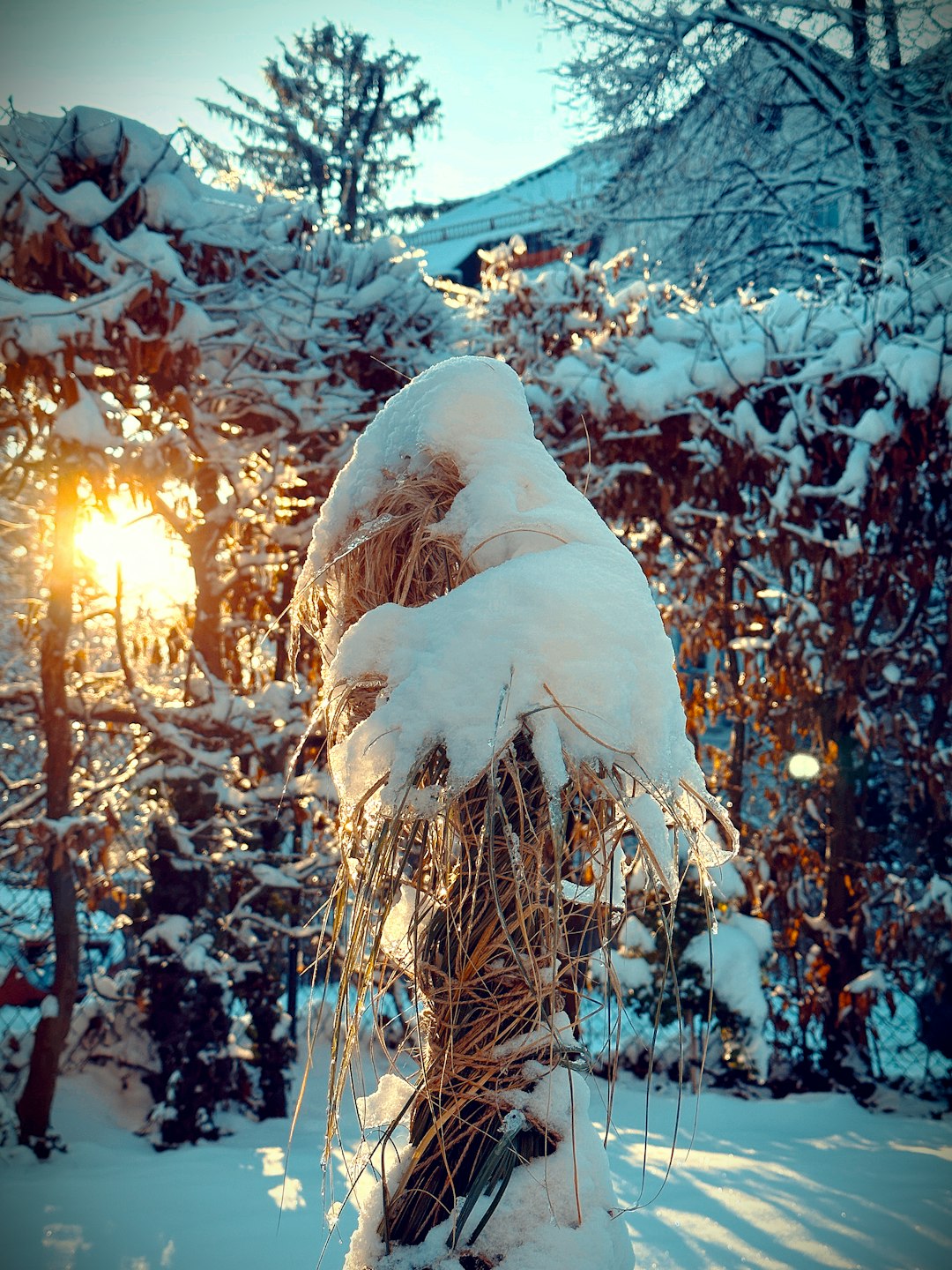 Deep Winter Aesthetic｜Cold & Commanding Beauty