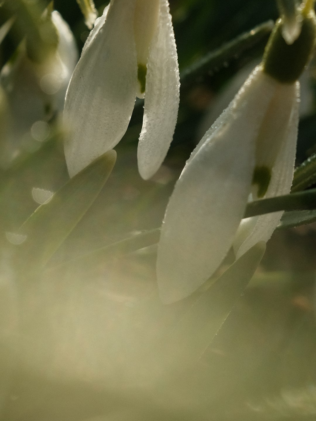 Warm Spring Girls, This One’s for You!