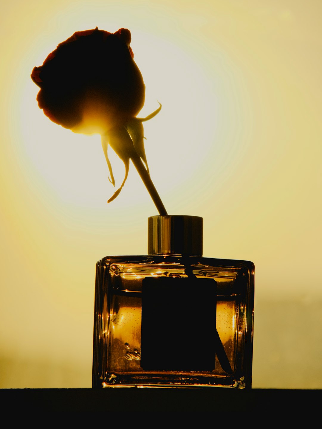 No Ads, Just Love｜A Designer’s 12 Scents with a Soul