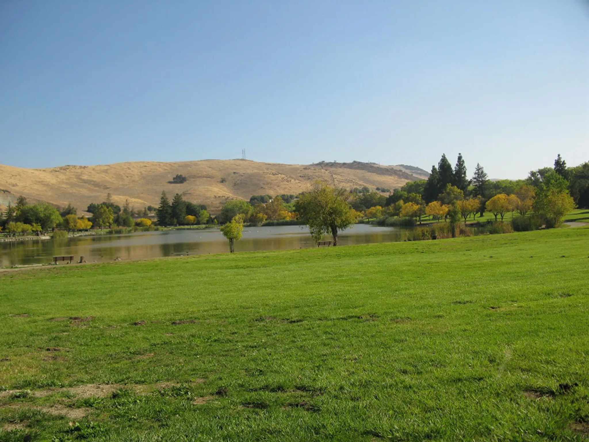 Sunny July Escape: Discover the Bay Area Ridge Trail 🌞🚴​