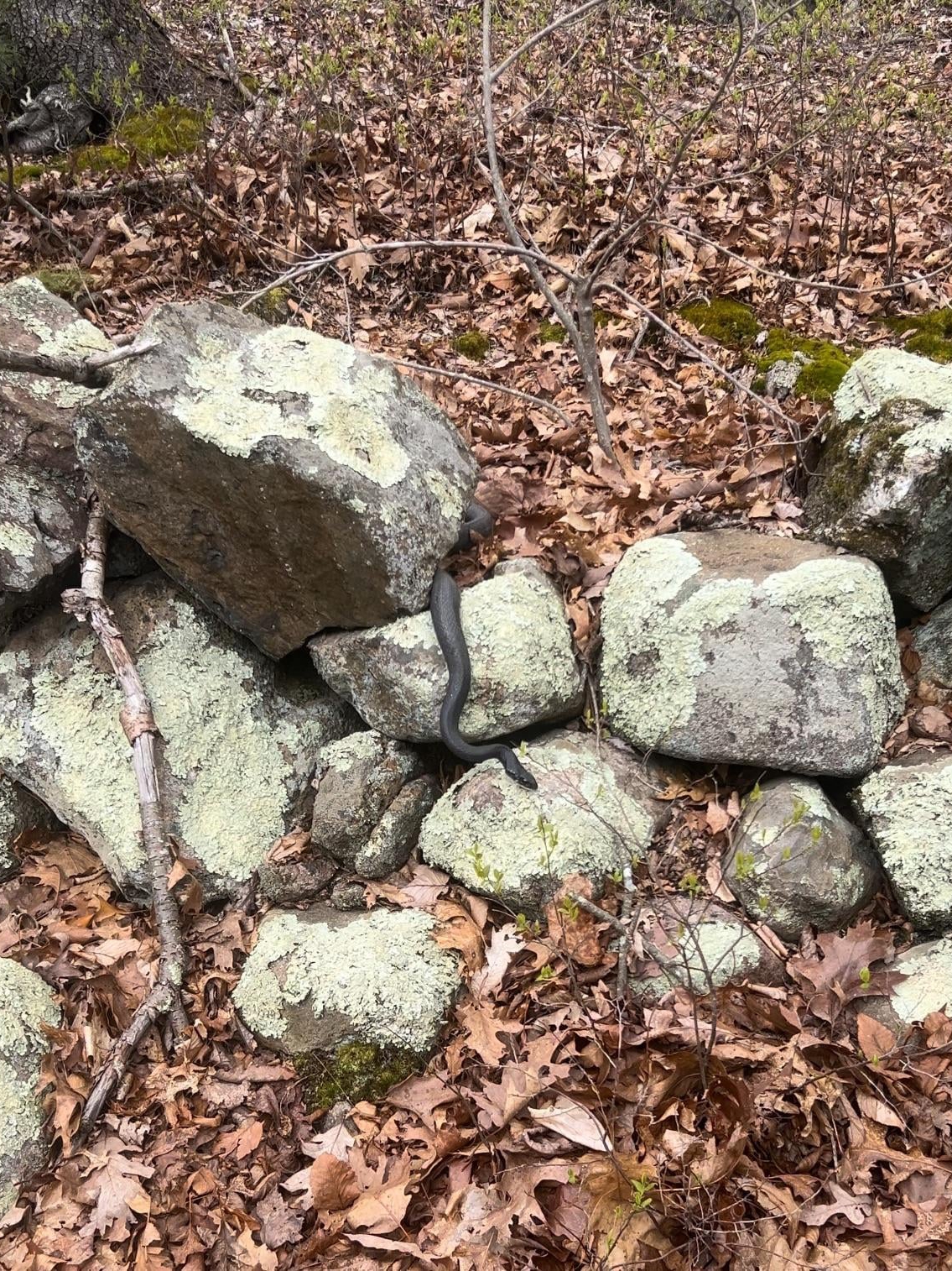 The Reservoir Was Quiet. I Wasn’t