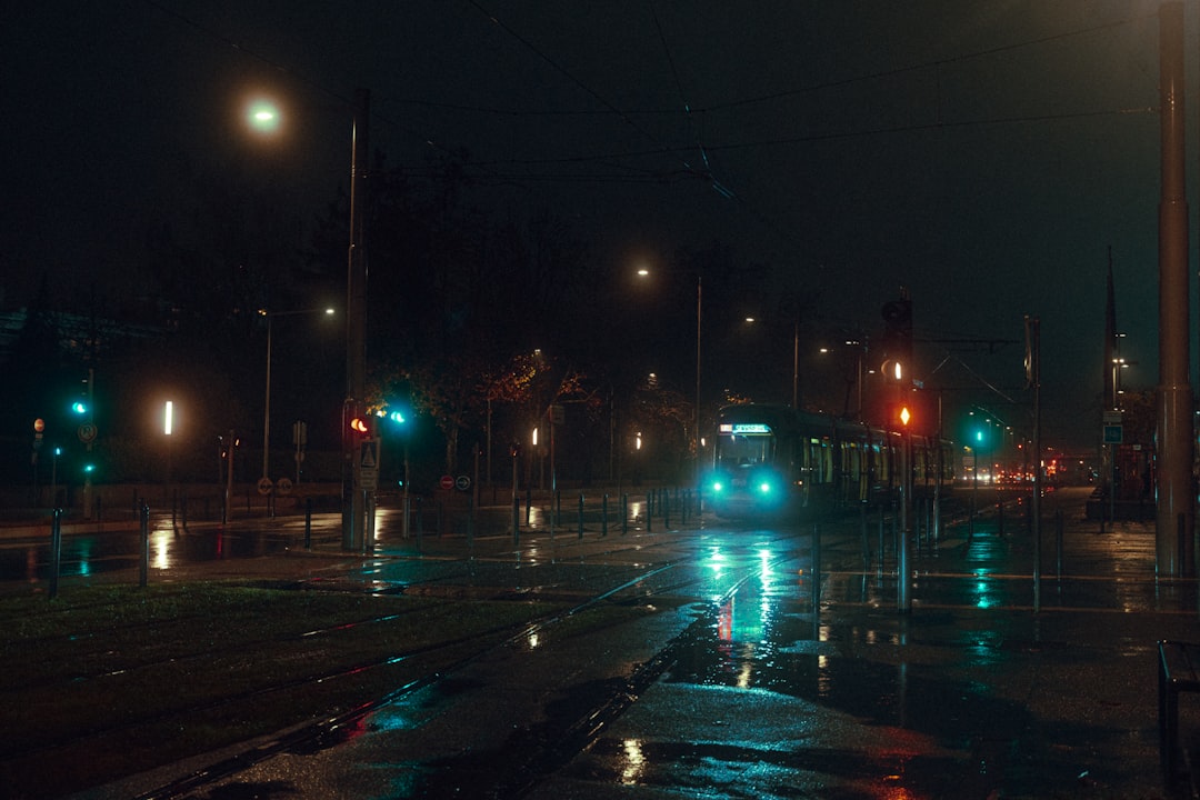 Rainy Day Films for the Quiet Ones