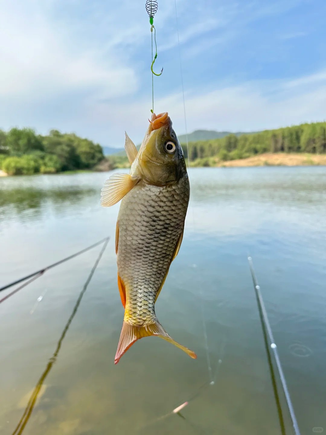 Stop listening to these fishing advice! 🚫