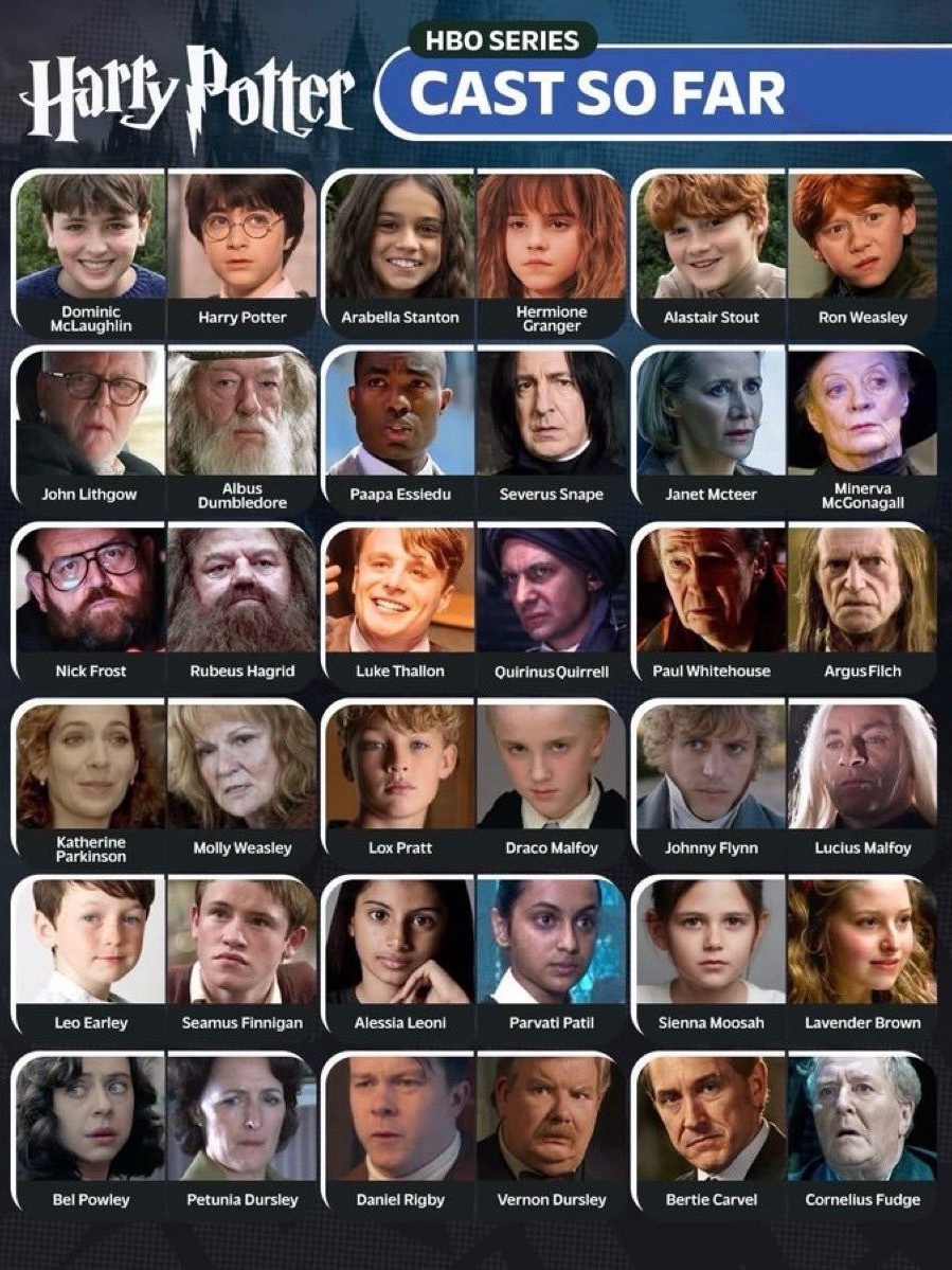 this harry potter casting meme actually made me cry laughing 💀💀
